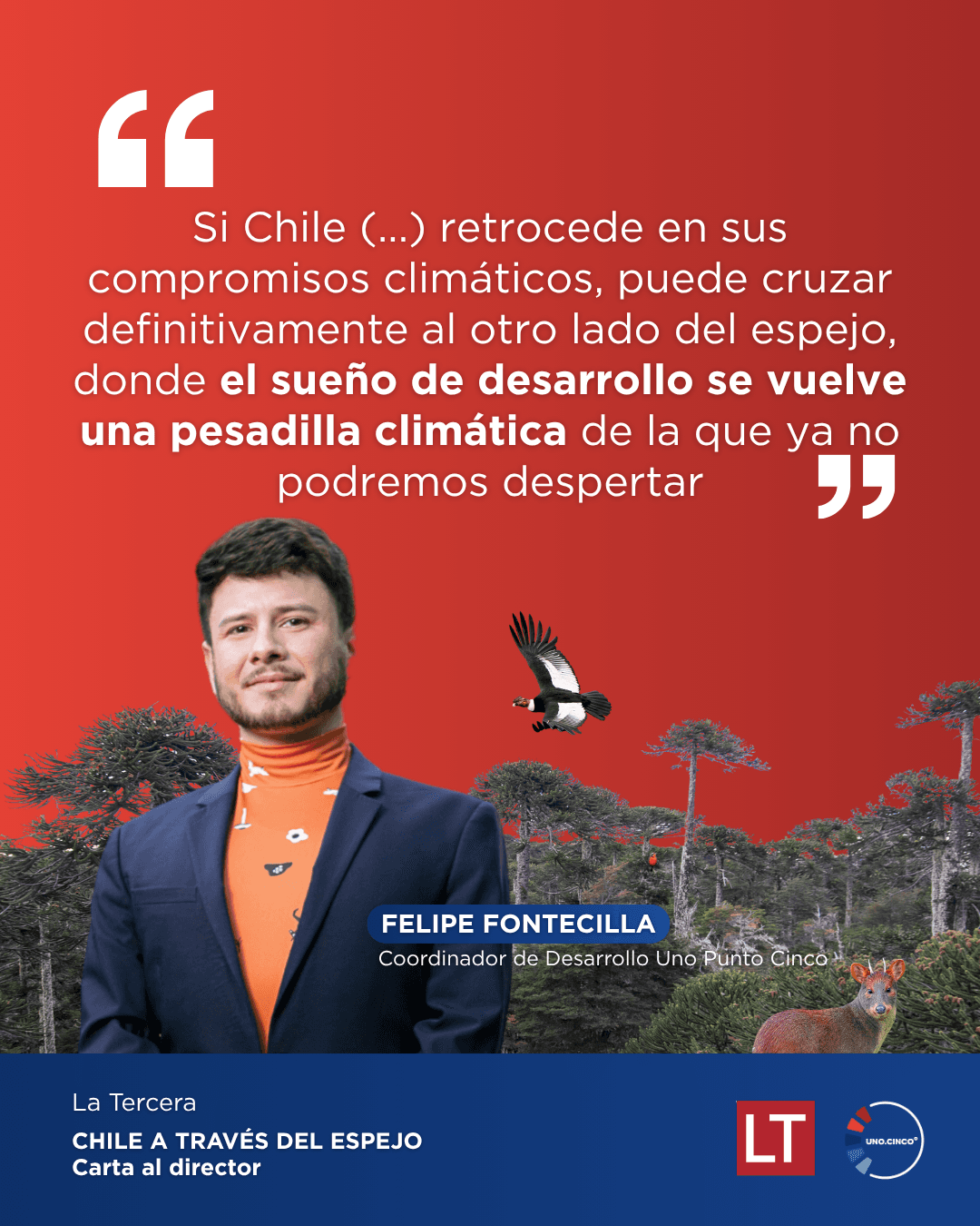 Chile, a través del espejo