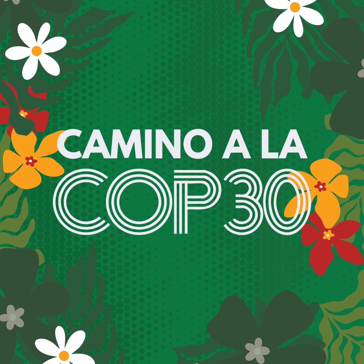 Camino a la COP 30