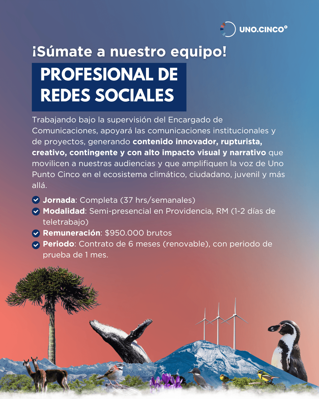 Uno Punto Cinco abre convocatoria para Profesional de Redes Sociales