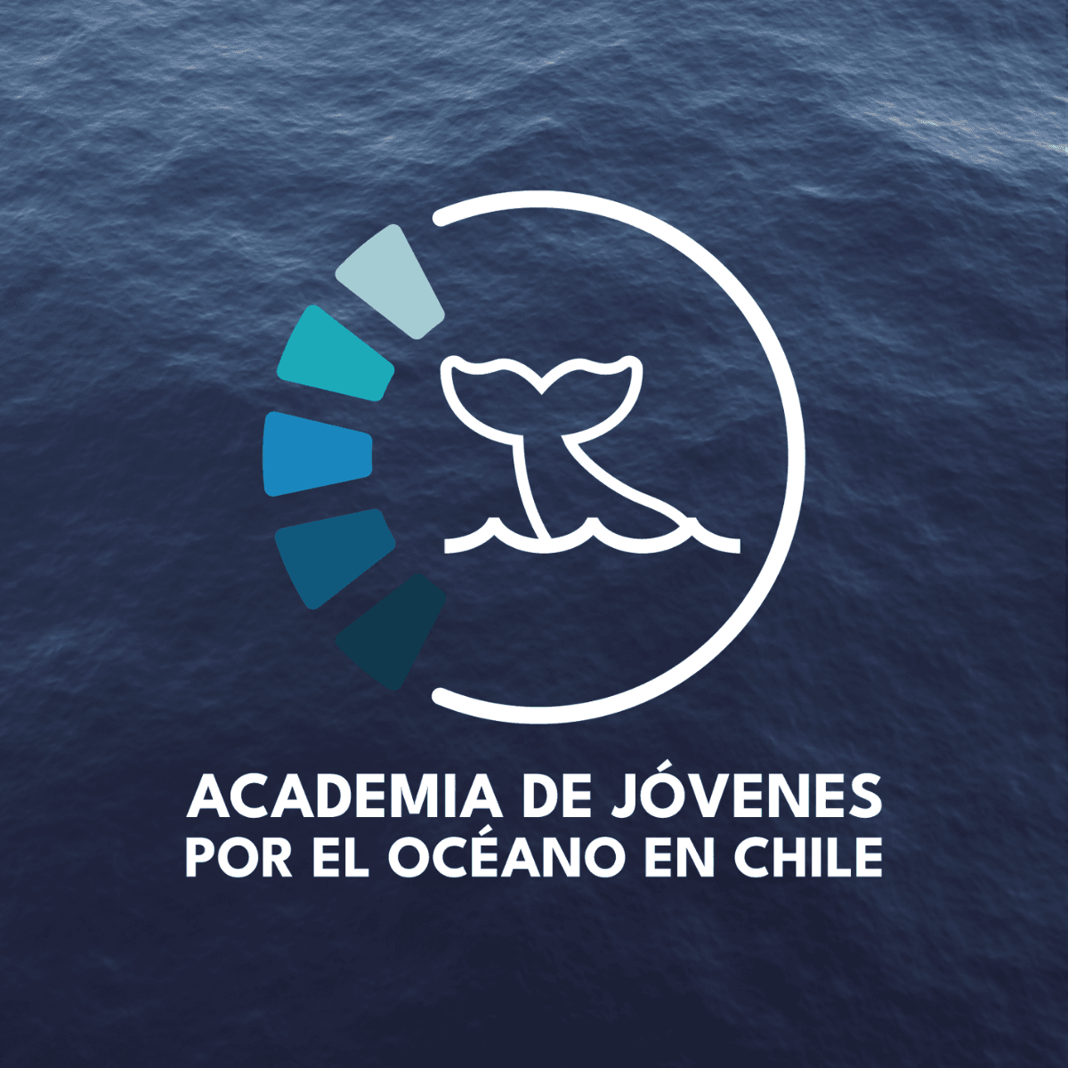 Academia de Jóvenes por el Océano en Chile