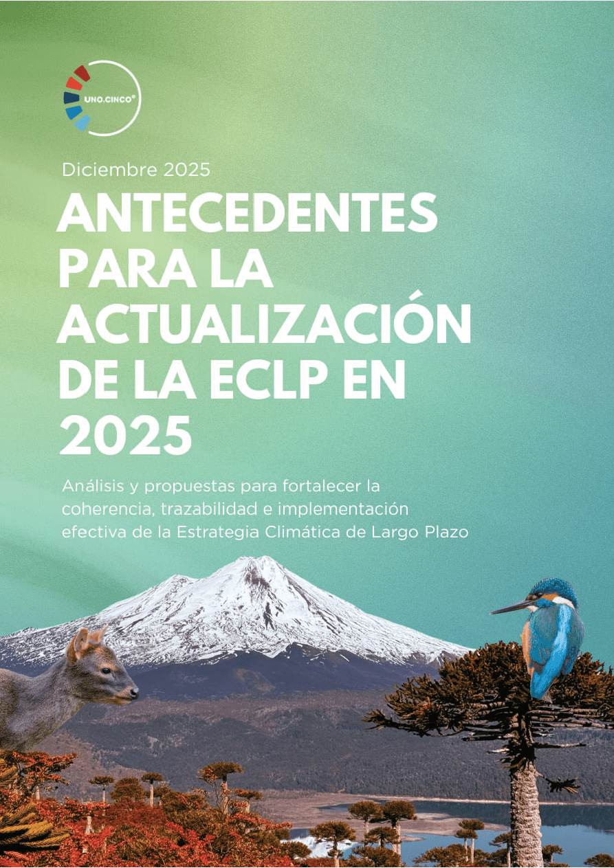 Antecedentes para la actualización de la ECLP en 2025