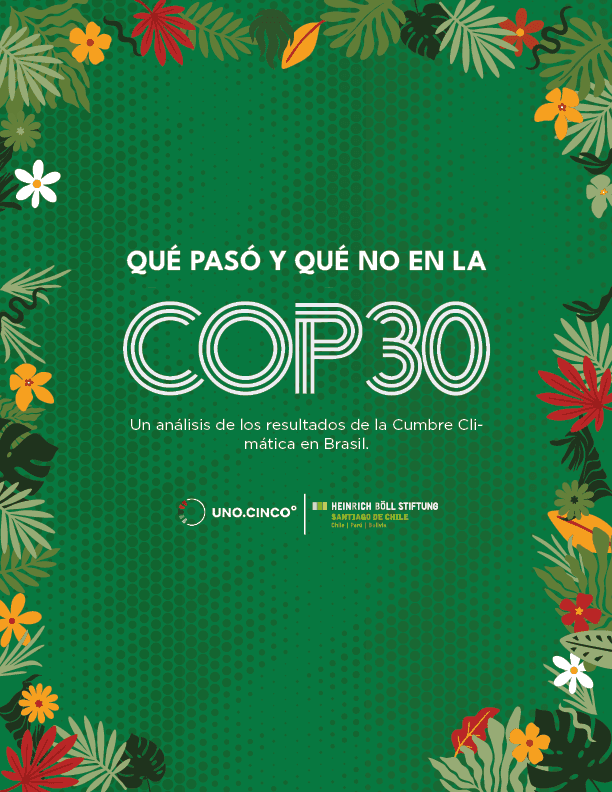 Qué pasó y qué no en la COP30