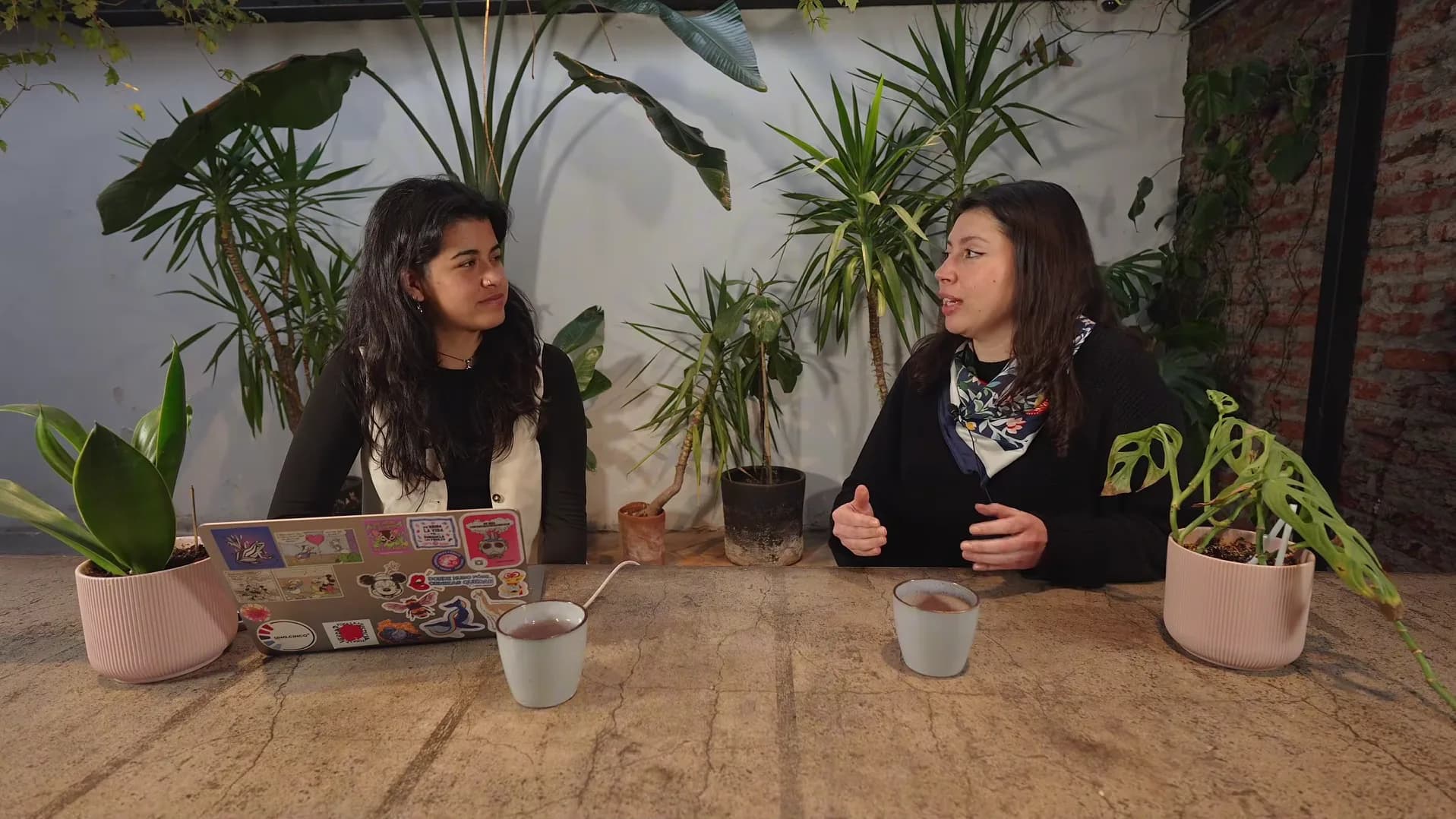 Podcast “Camino a la COP31” estrena su primer capítulo