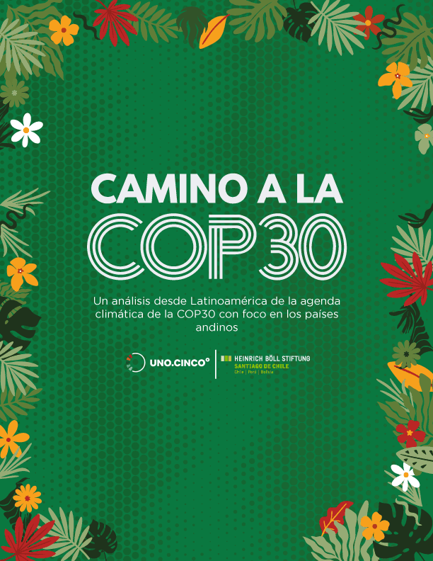 Camino a la COP30