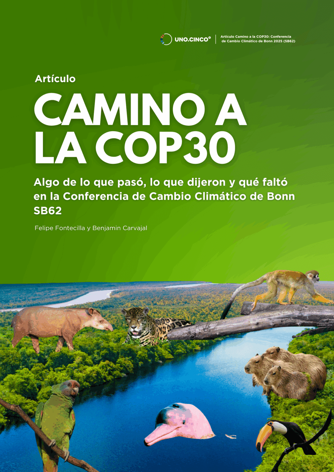 Camino a la COP30: Lo que pasó (y lo que no) en la conferencia de Bonn