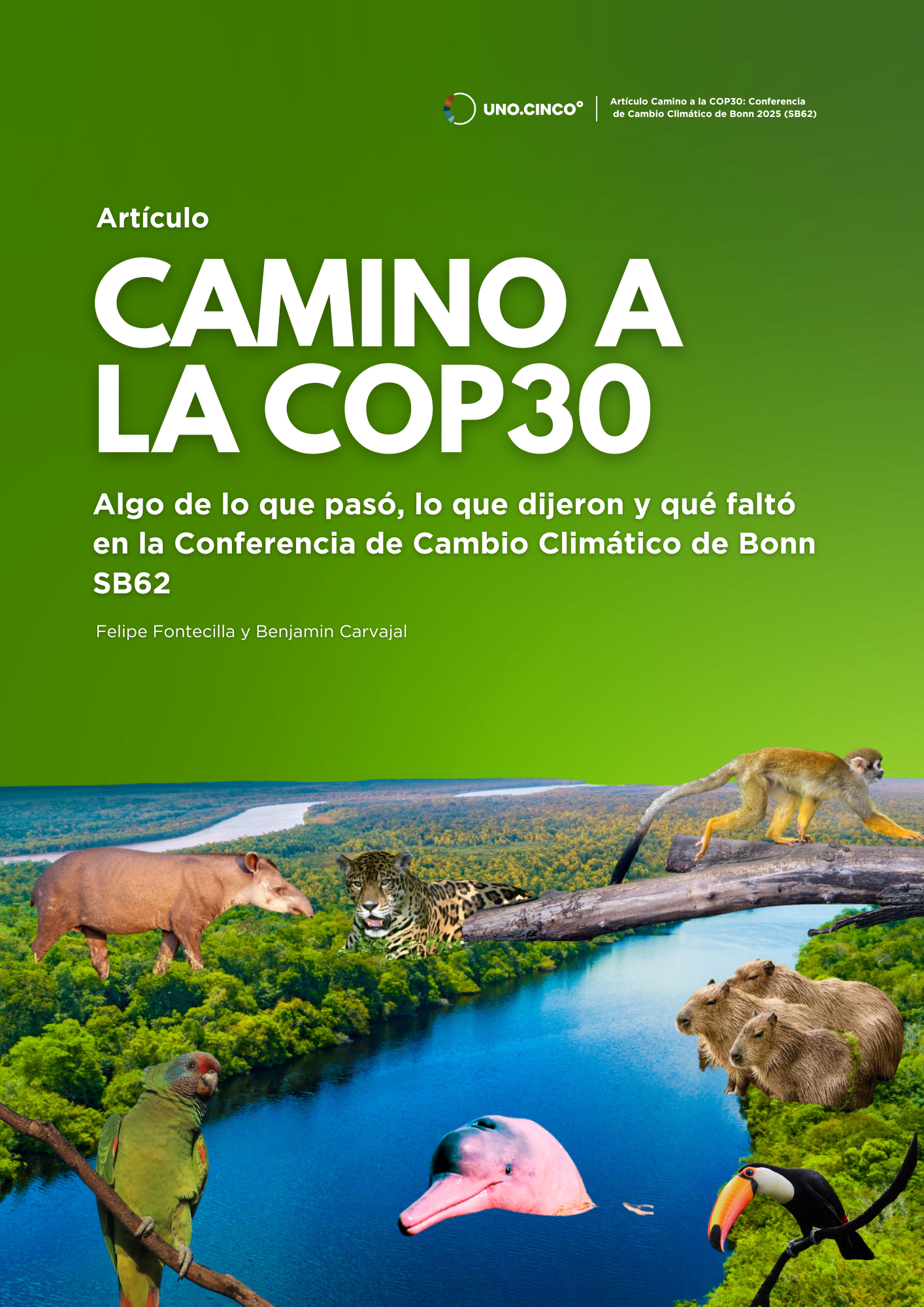 Camino a la COP30, Conferencia de Cambio Climático de Bonn 2025 (SB62)