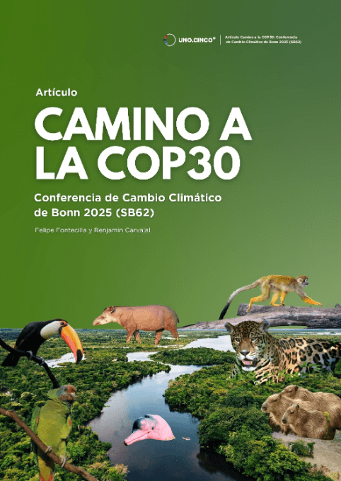 Camino a la COP30, Algo de lo que pasó, lo que dijeron y que faltó en la Conferencia de Cambio Climático de Bonn SB62